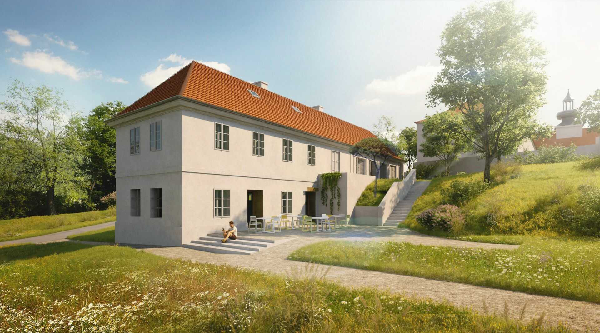 Cibulka