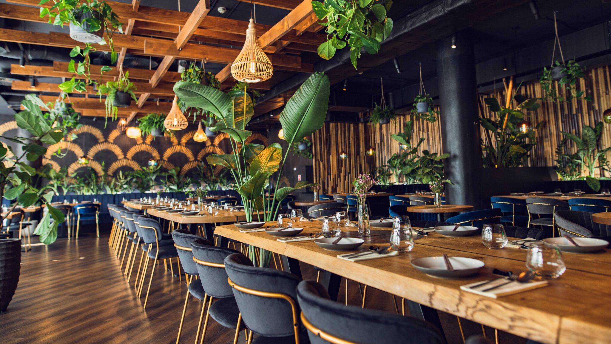 restaurace