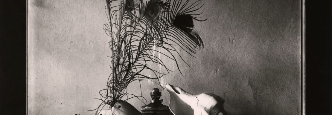 Josef Sudek, Zátiší podle Carravaggia, 1956